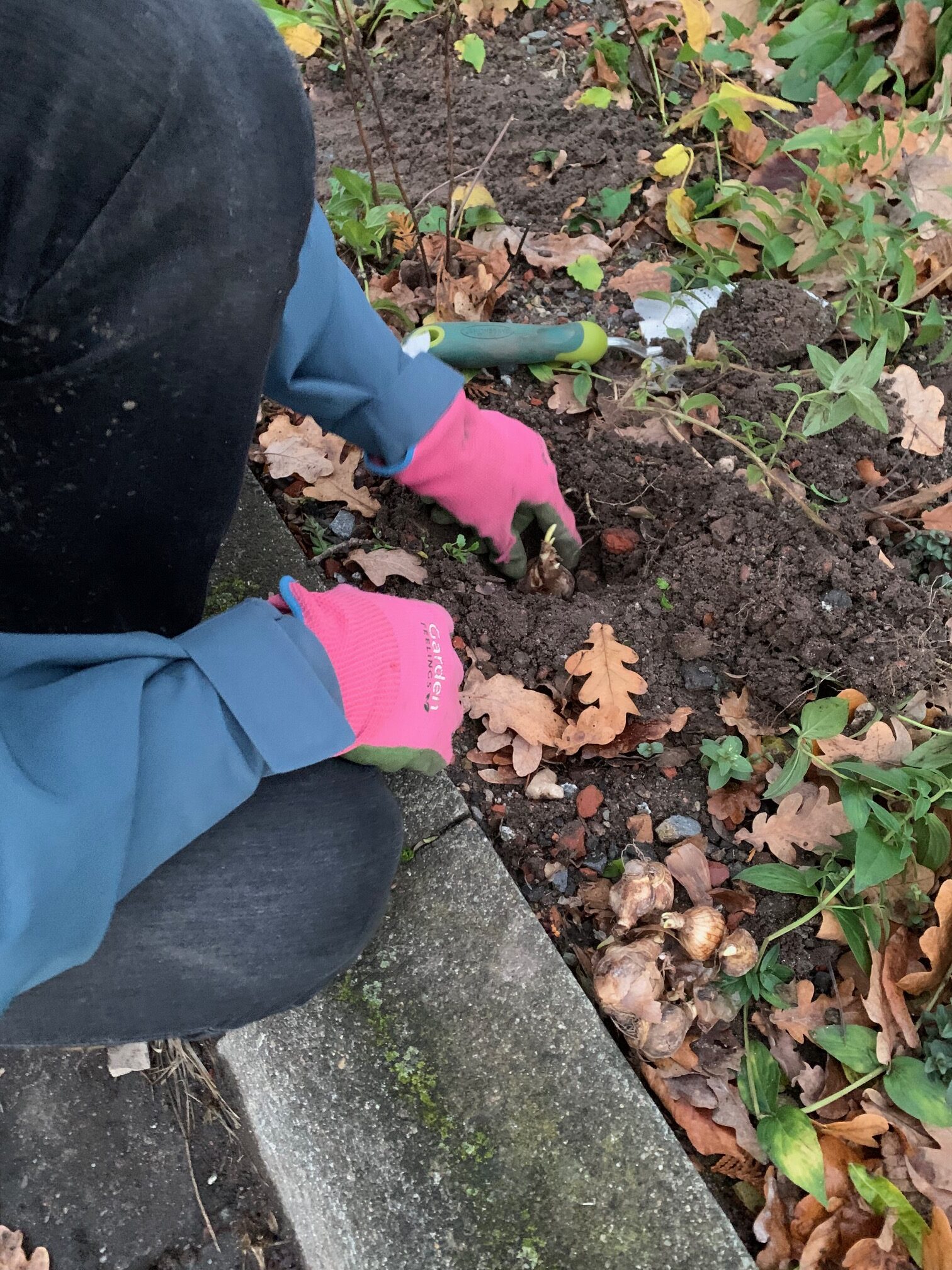Ein Versprechen für den Frühling…